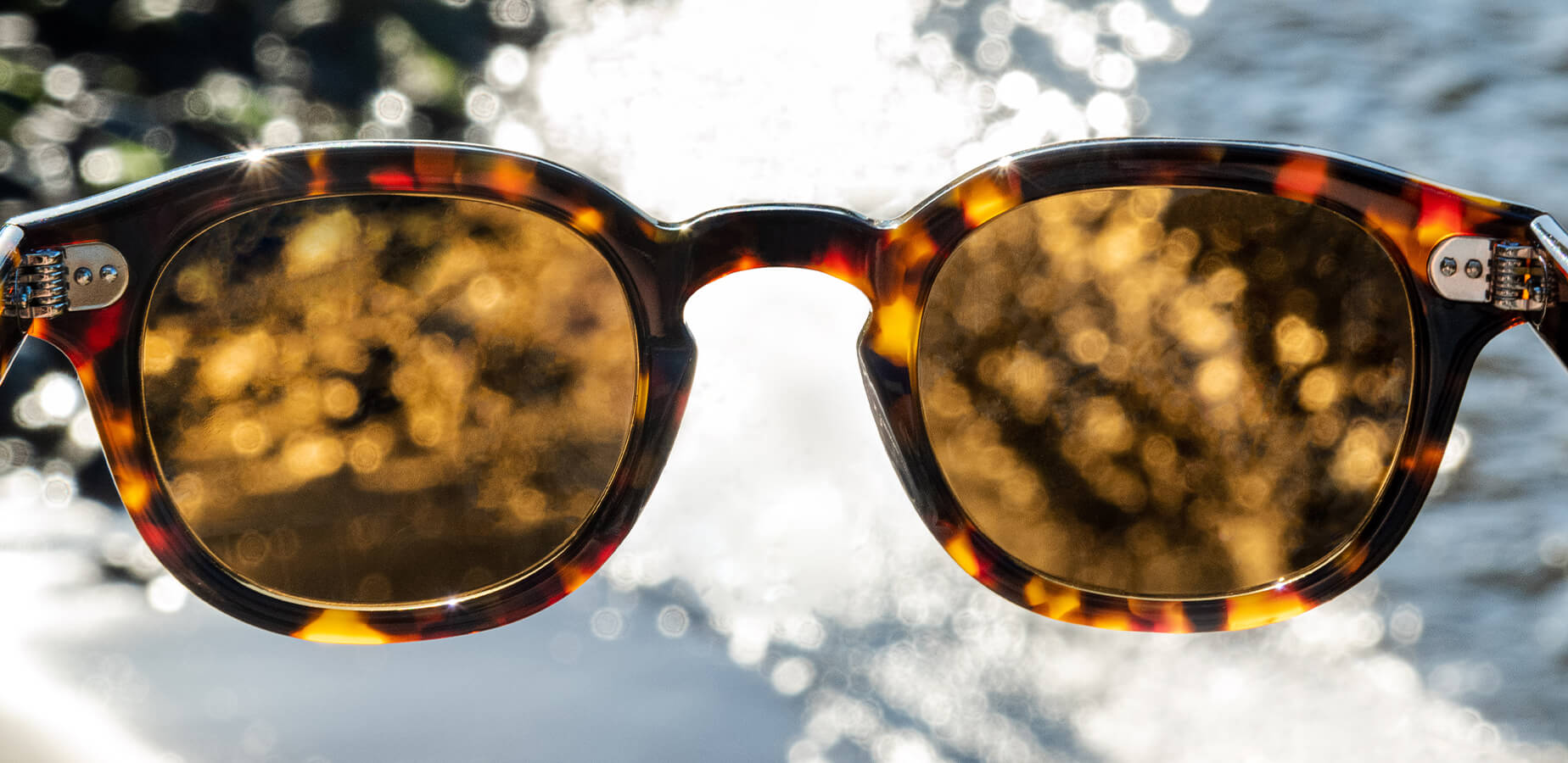 Best Polarized Sunglasses, MOSCOT NYC SINCE 1915