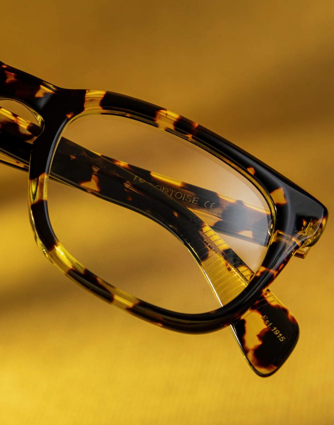 Shop The MOSCOT Family Favorites
