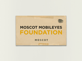Donate to the MOSCOT Mobileyes Foundation