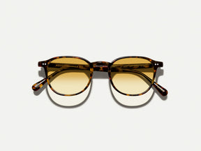 #color_tortoise 