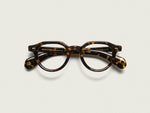 The BAITSIM in Tortoise