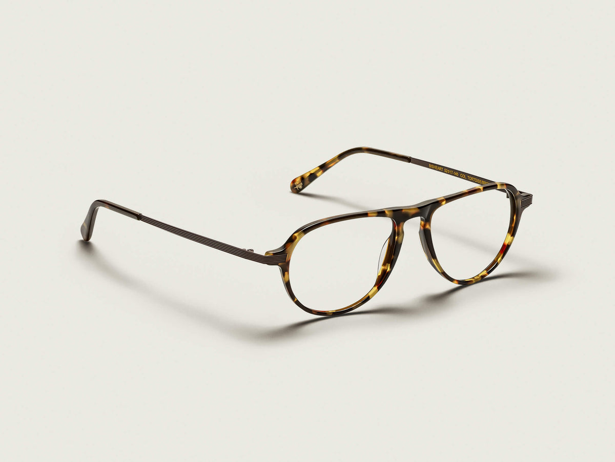 The BISHEART in Tortoise