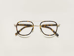 The FANAGLE in Tortoise