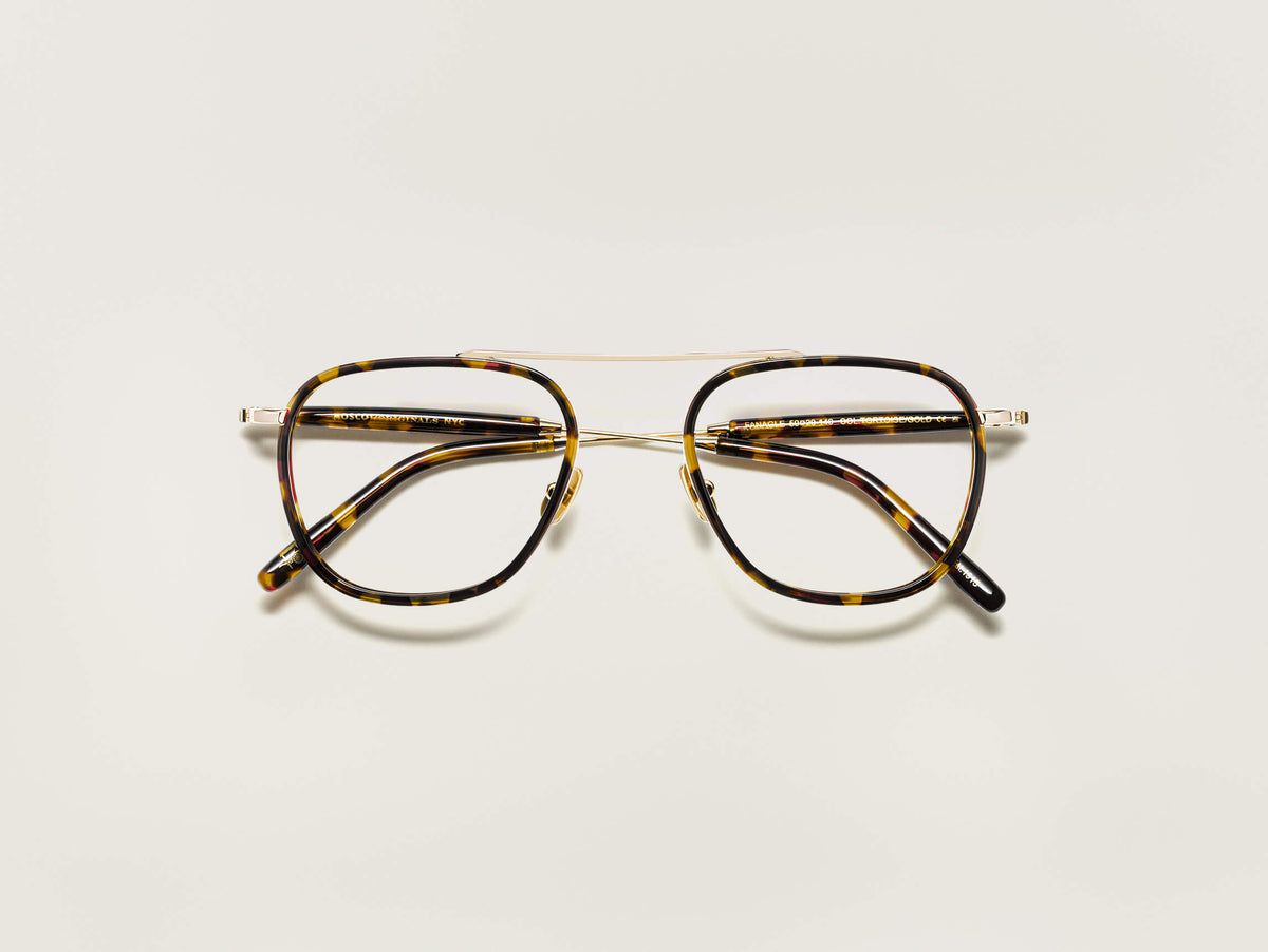 The FANAGLE in Tortoise