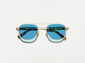 #color_citron/tortoise 