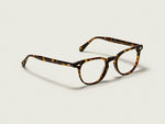 The FEVEL in Tortoise