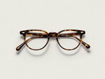 The FEVEL in Tortoise