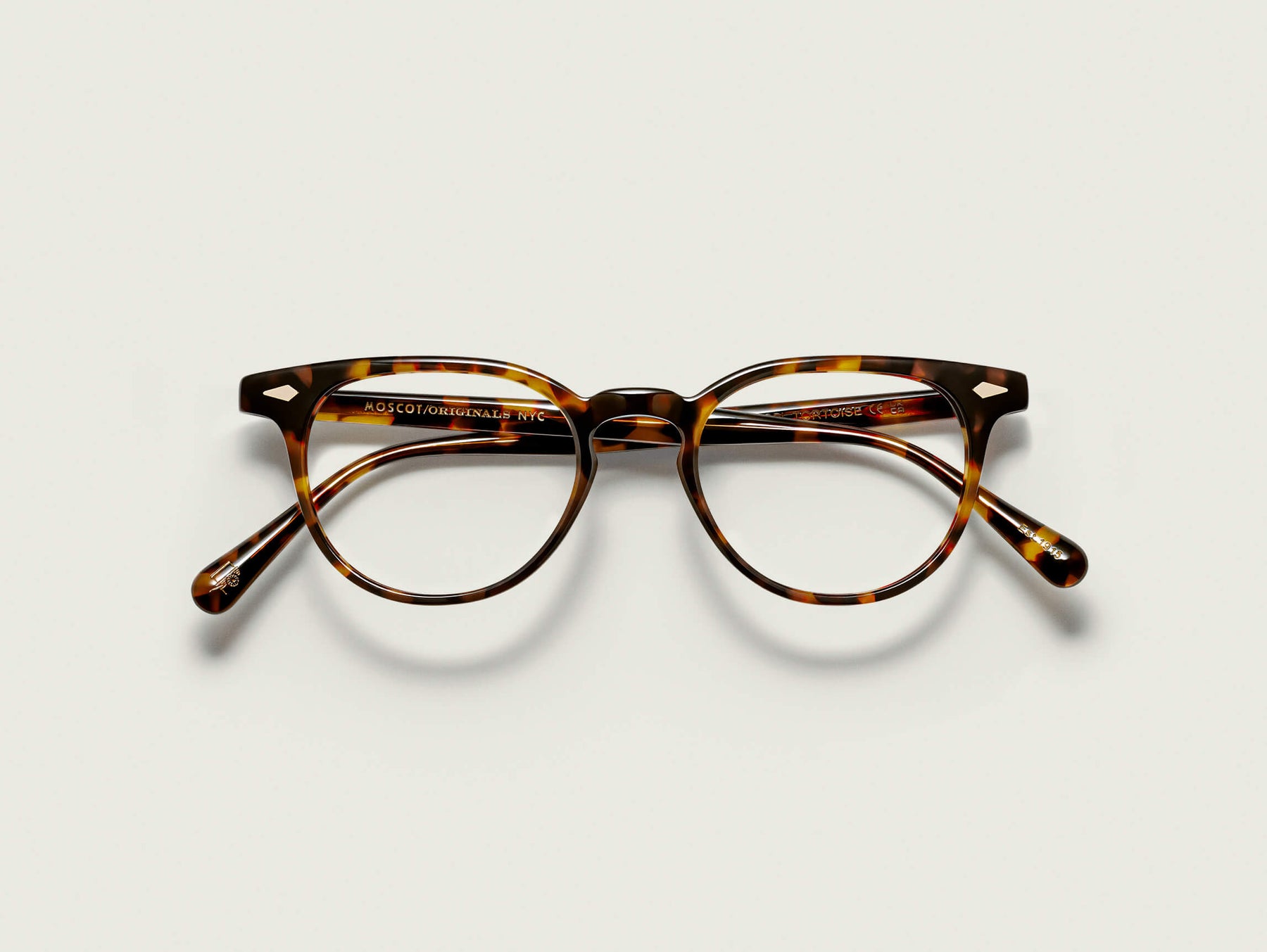 The FEVEL in Tortoise