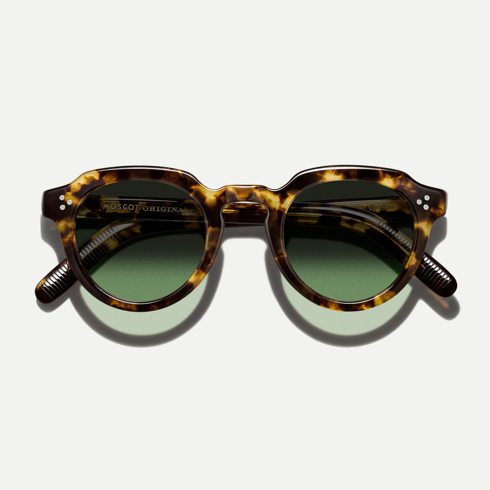 #color_classic havana | The GAVOLT SUN in Classic Havana with Forest Wood Tinted Lenses