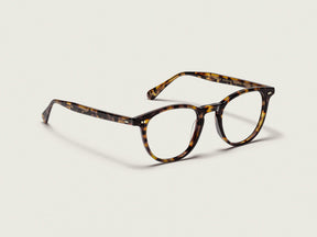 #color_spot tortoise 