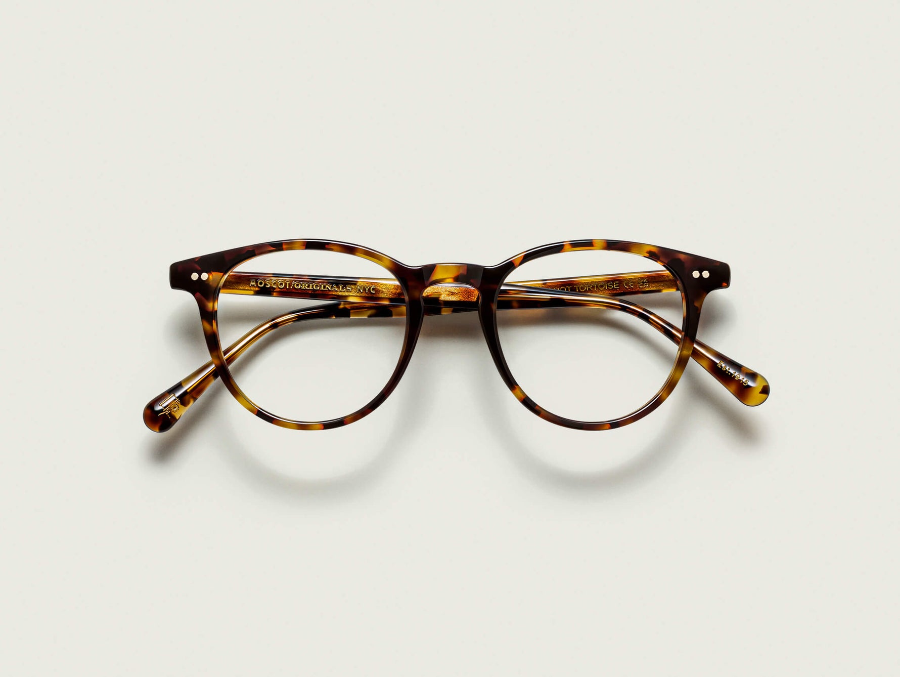 #color_spot tortoise | The JARED in Spot Tortoise