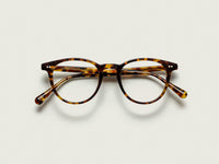 #color_spot tortoise | The JARED in Spot Tortoise