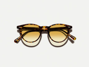 #color_spot tortoise 