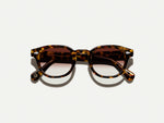 The LEMTOSH Tortoise with Root Beer Fade Tinted Lenses