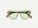 De MILTZEN in Citron/Tortoise met GREEN+ lenzen