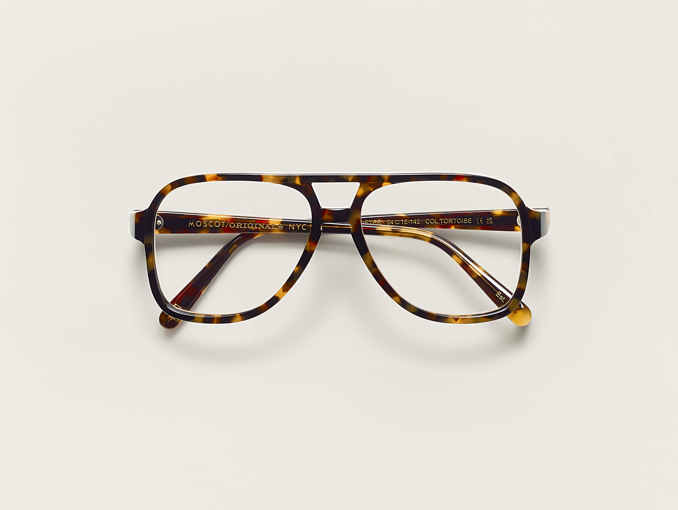 The SHEISTER in Tortoise