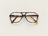 #color_tortoise | The SHEISTER in Tortoise