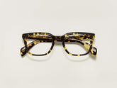#color_tokyo tortoise | The SHIDDOCK in Tokyo Tortoise