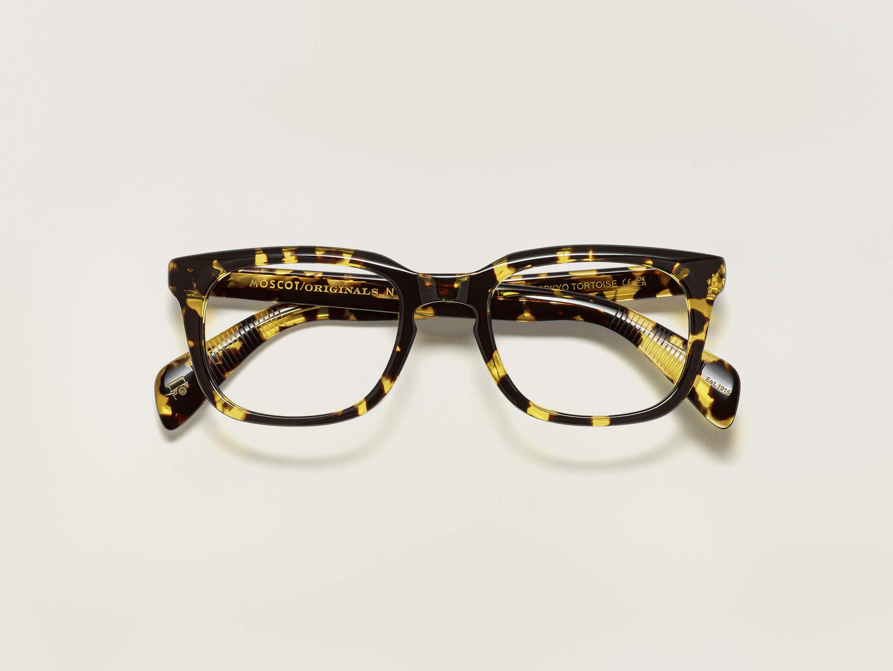 The SHIDDOCK in Tokyo Tortoise