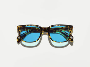 The SHIDDOCK SUN in Tokyo Tortoise with Celebrity Blue Tinted Lenses
