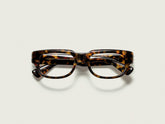 #color_tortoise | The SHTUP in Tortoise