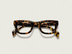 The SPILKES in Tortoise