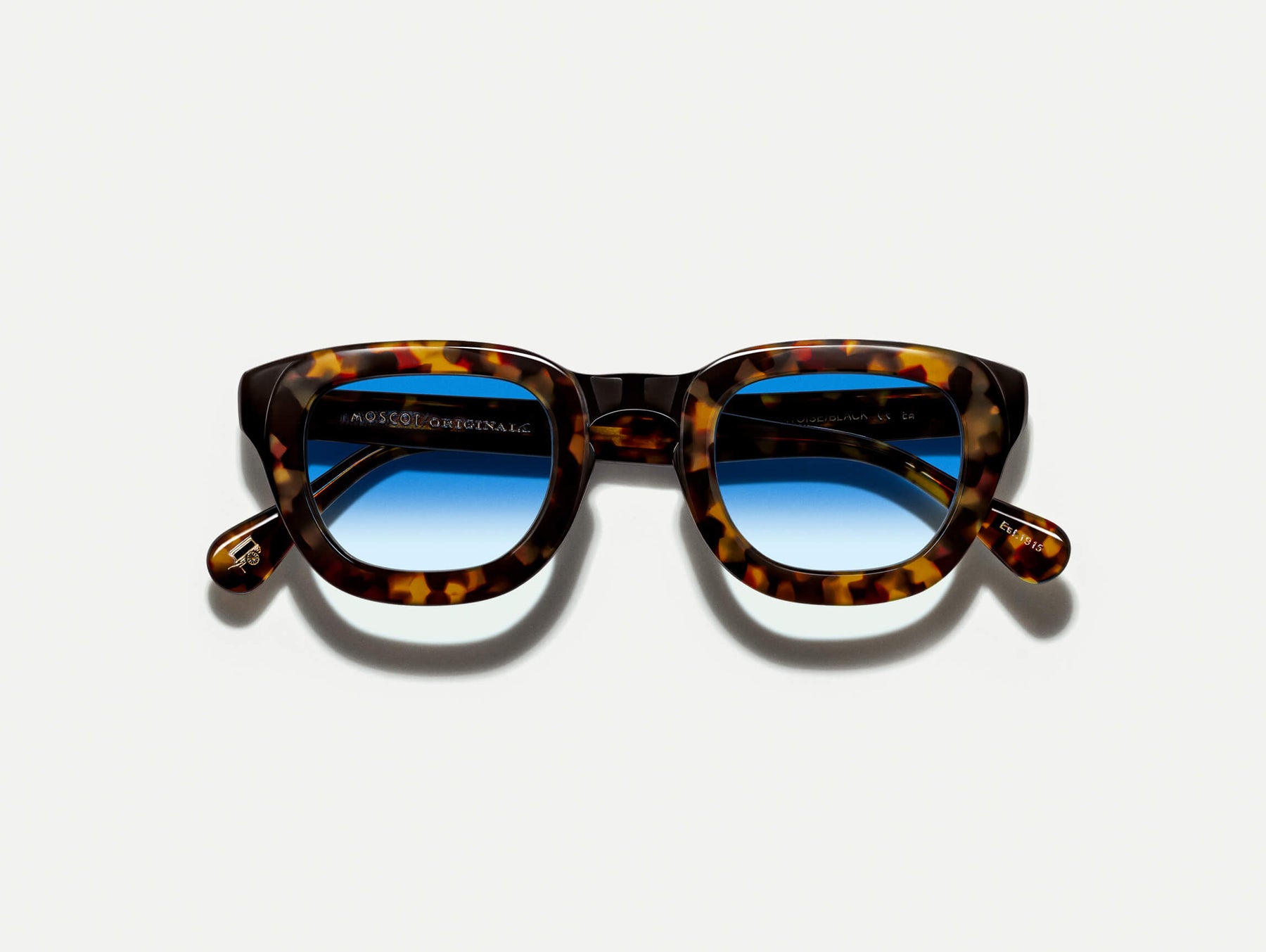 The TELENA in Tortoise/Black with Broadway Blue Fade Tinted Lenses