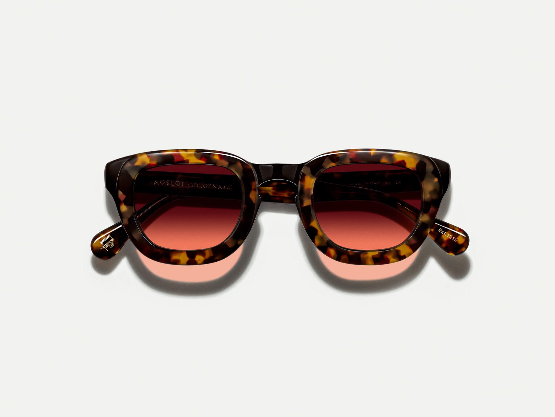 The TELENA in Tortoise/Black with Cabernet Tinted Lenses
