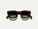 The TELENA in Tortoise/Black with Forest Wood Tinted Lenses