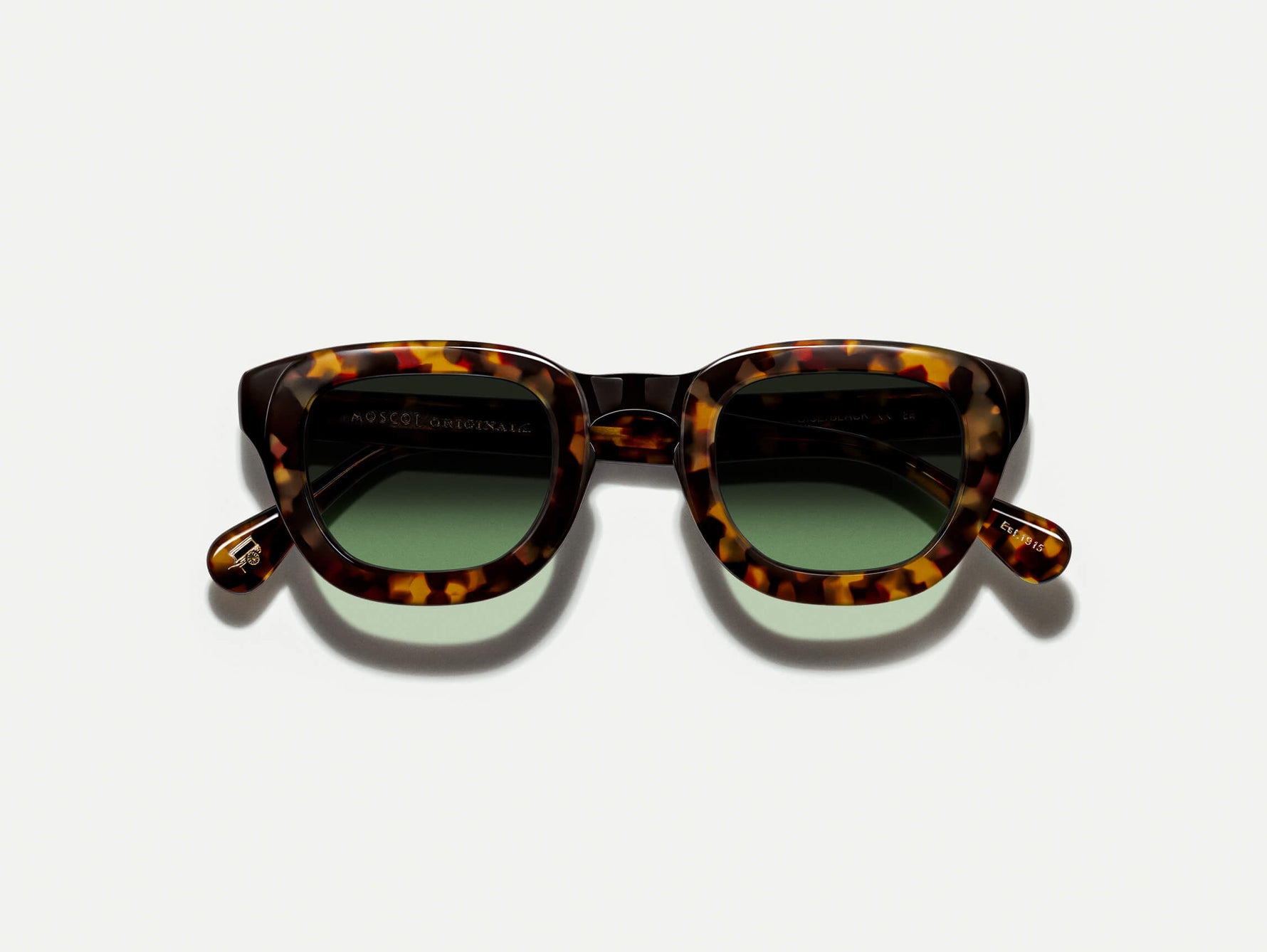The TELENA in Tortoise/Black with Forest Wood Tinted Lenses
