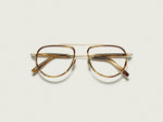 The TRAIF in Bamboo