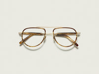 #color_bamboo | The TRAIF in Bamboo