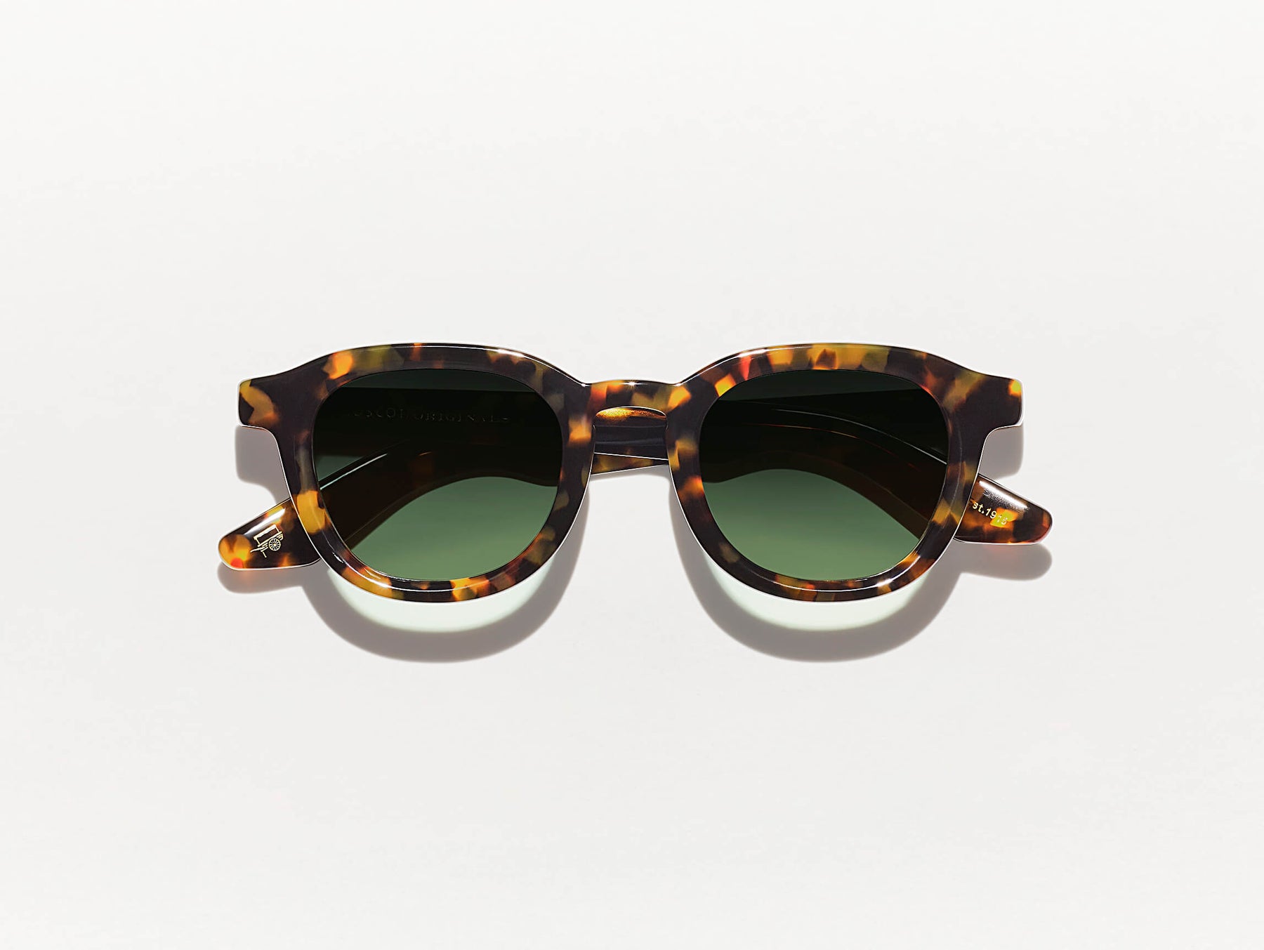 The DAHVEN in Tortoise with Forest Wood Tinted Lenses