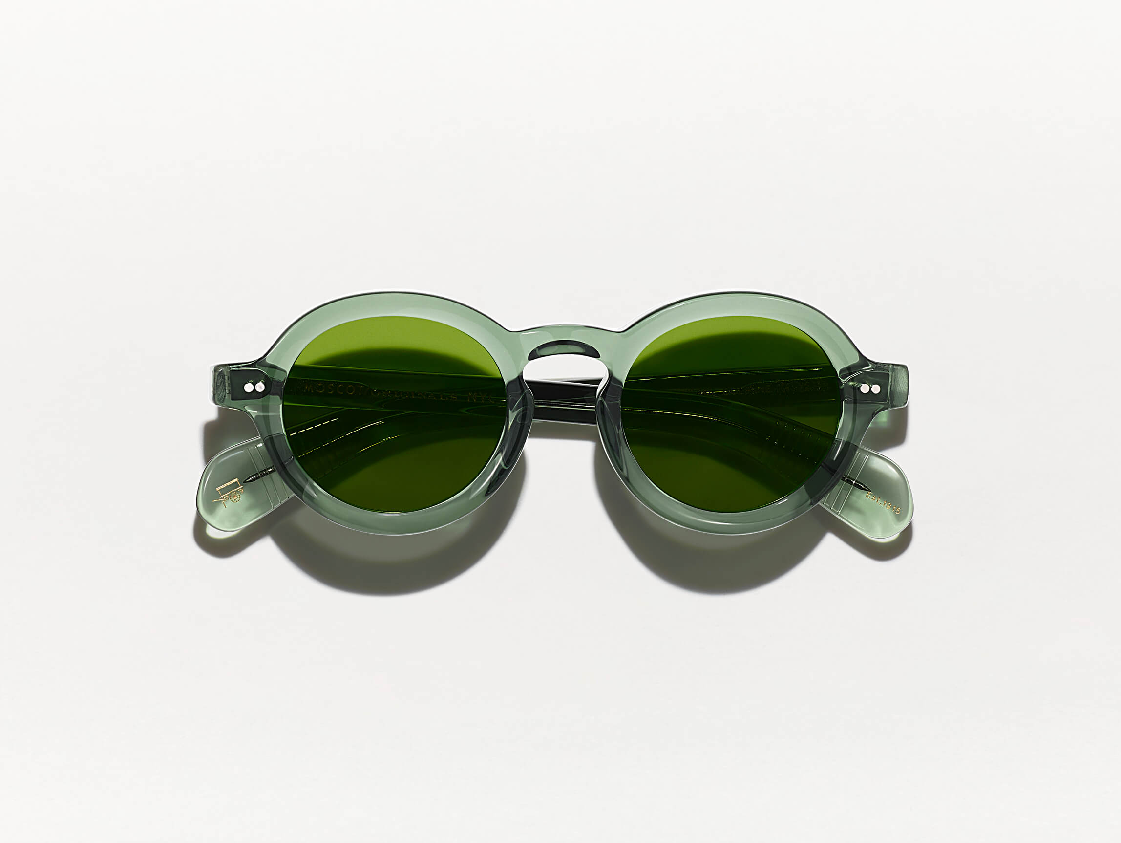 The FOYGEL SUN in Pine with Green Tinted Lenses