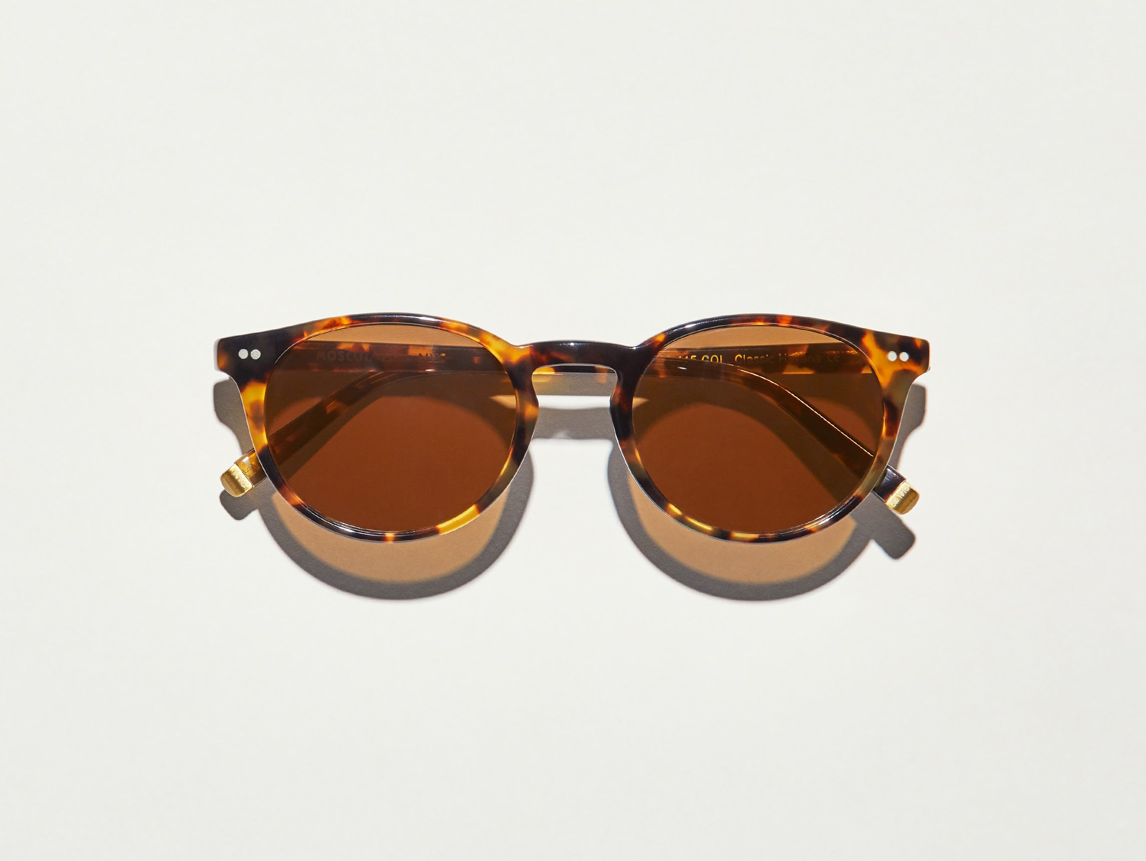 The FRANKIE SUN in Classic Havana with Brown Lenses
