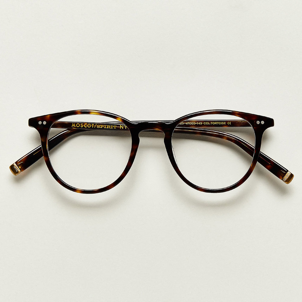 #color_tortoise | The JARED in Tortoise