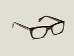 The KELEV in Tortoise