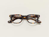 #color_tortoise | The KLUTZ in Tortoise