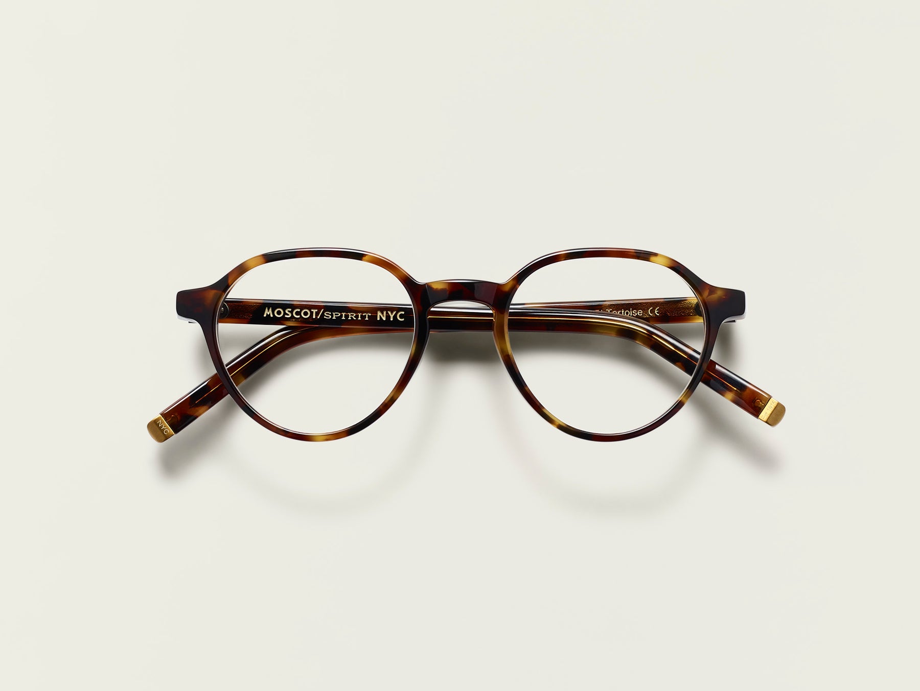 The LES in Spot Tortoise