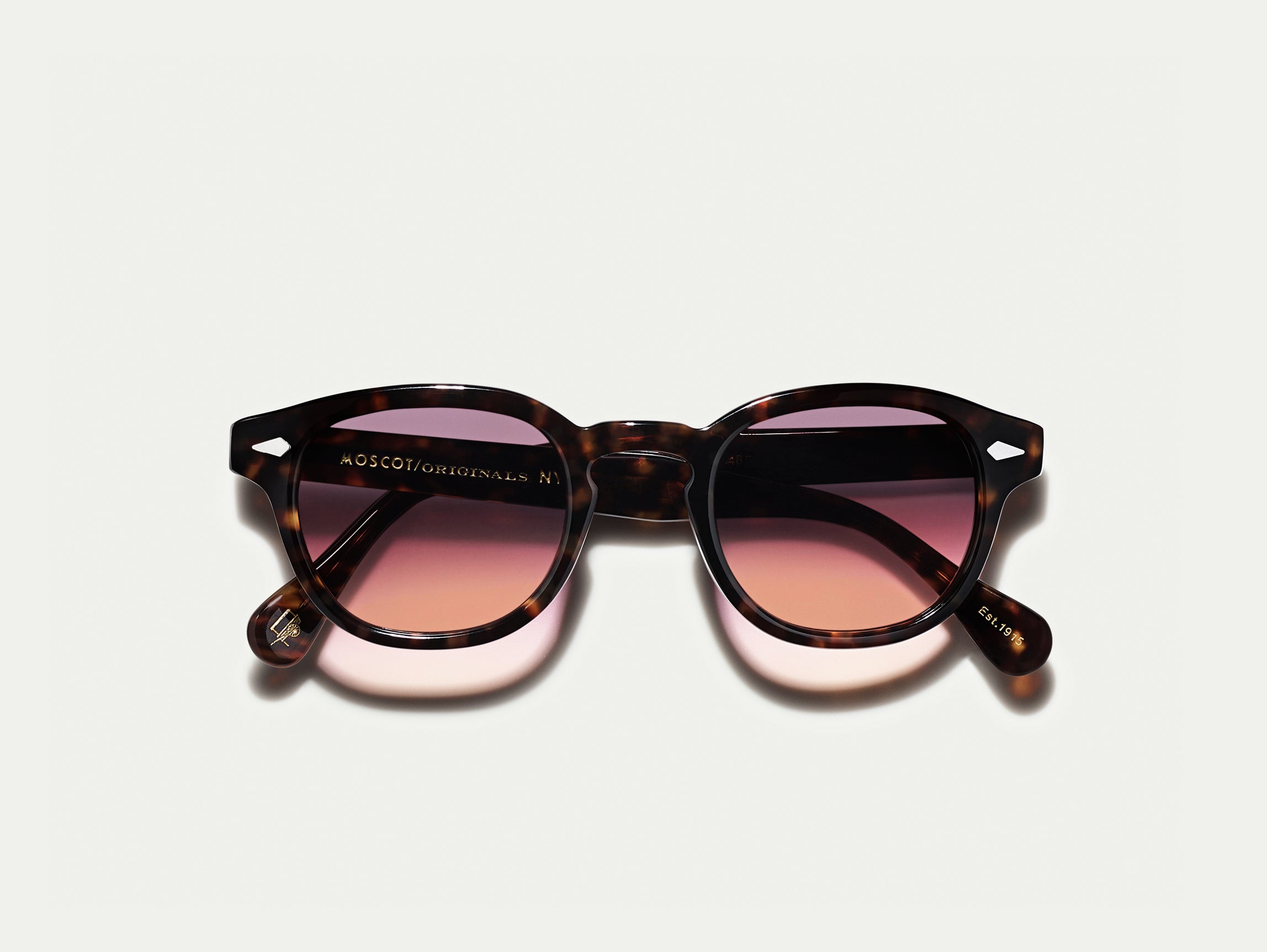 #color_city lights | The LEMTOSH Tortoise with City Lights Tinted Lenses