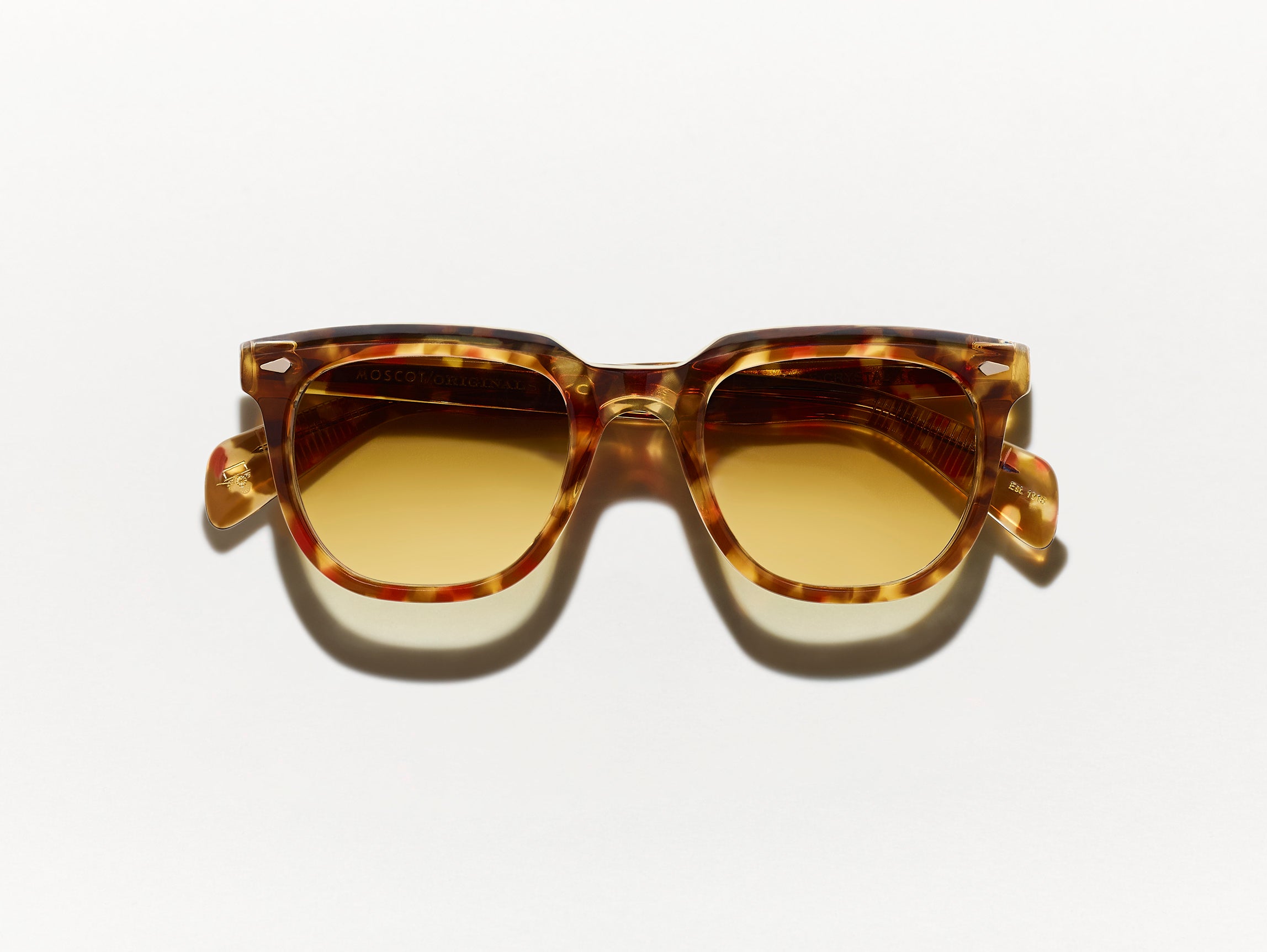 #color_tortoise/crystal | The YONTIF SUN in Tortoise/Crystal with Chestnut Fade Tinted Lenses